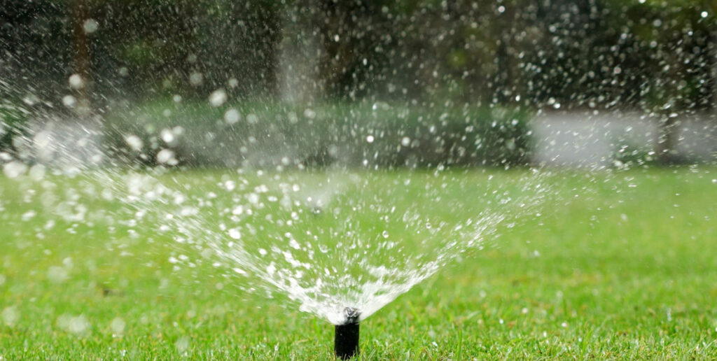 Professional Lawn Maintenance